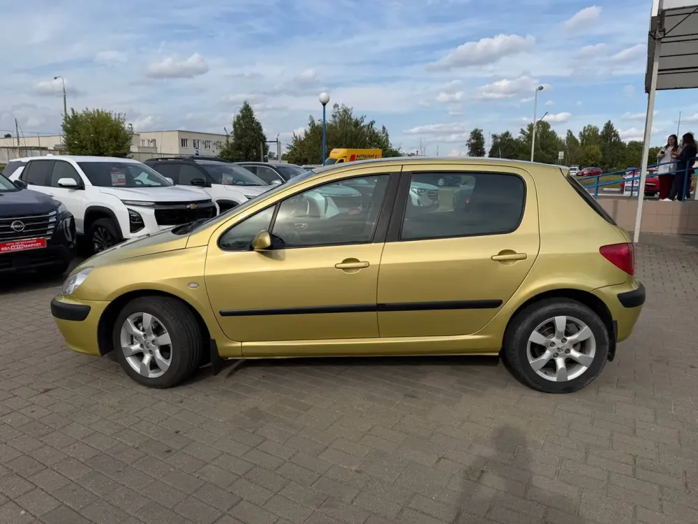 Продажа Peugeot 307 I, 2001г., Гомель Гомель - изображение 8
