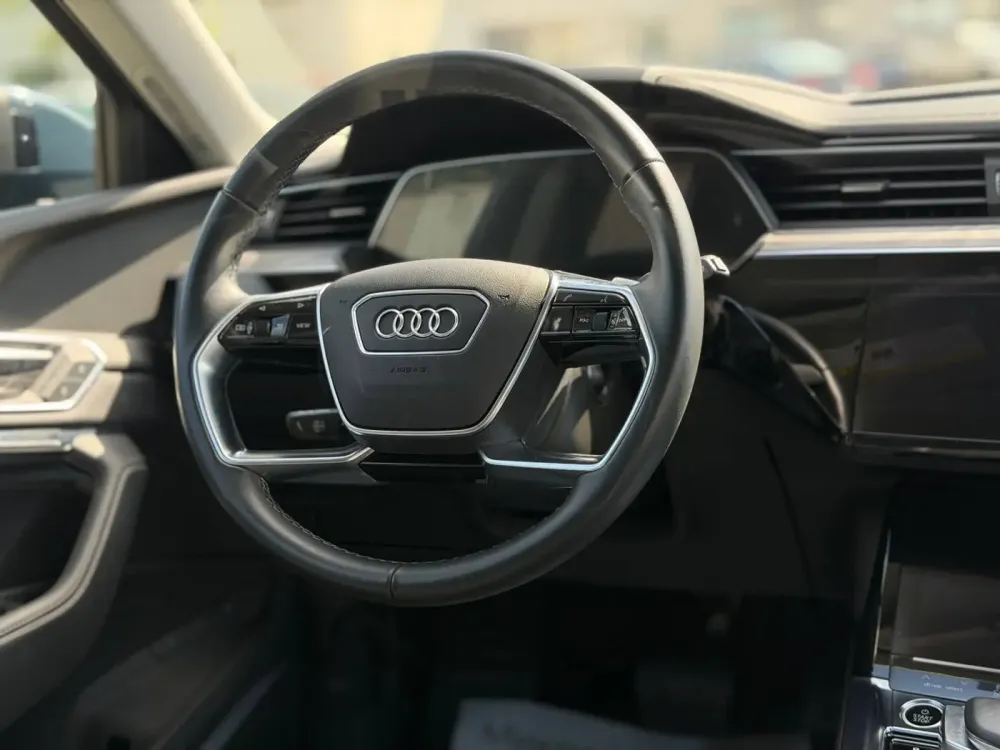 Продажа Audi Q8 e-tron I, 2024г., Минск Минск - изображение 12