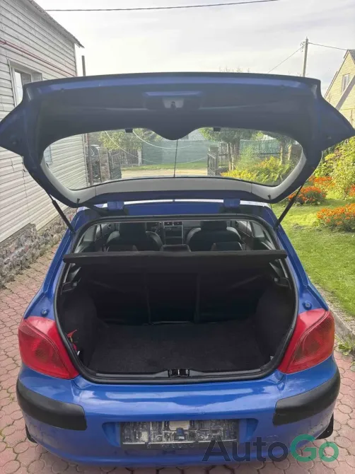 Продажа Peugeot 307 (I), 2002 г., Минск Минск - изображение 6