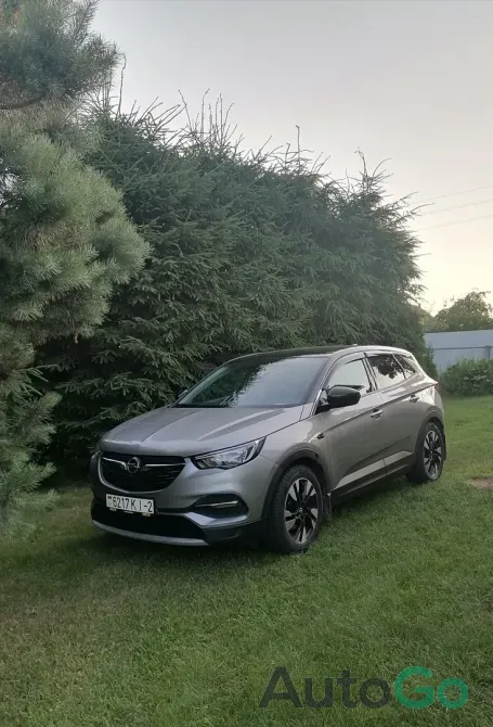 Продажа Opel Grandland X I, 2019г., Орша Орша - изображение 1