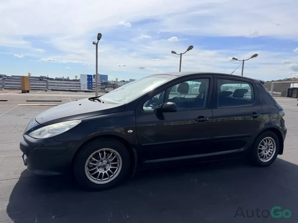 Продажа Peugeot 307 (I) Рестайлинг, 2006 г., Минск Минск - изображение 1