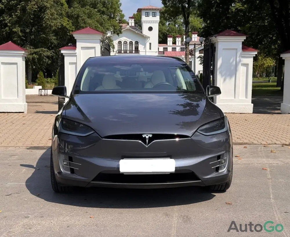  Model X (I)