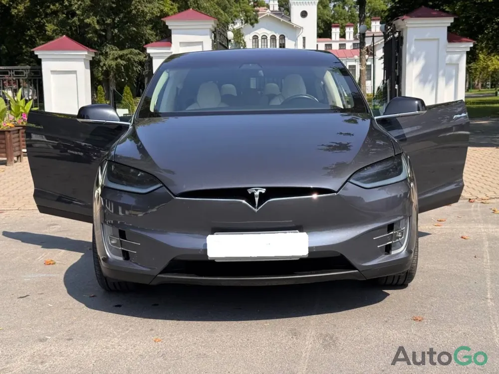  Model X (I)
