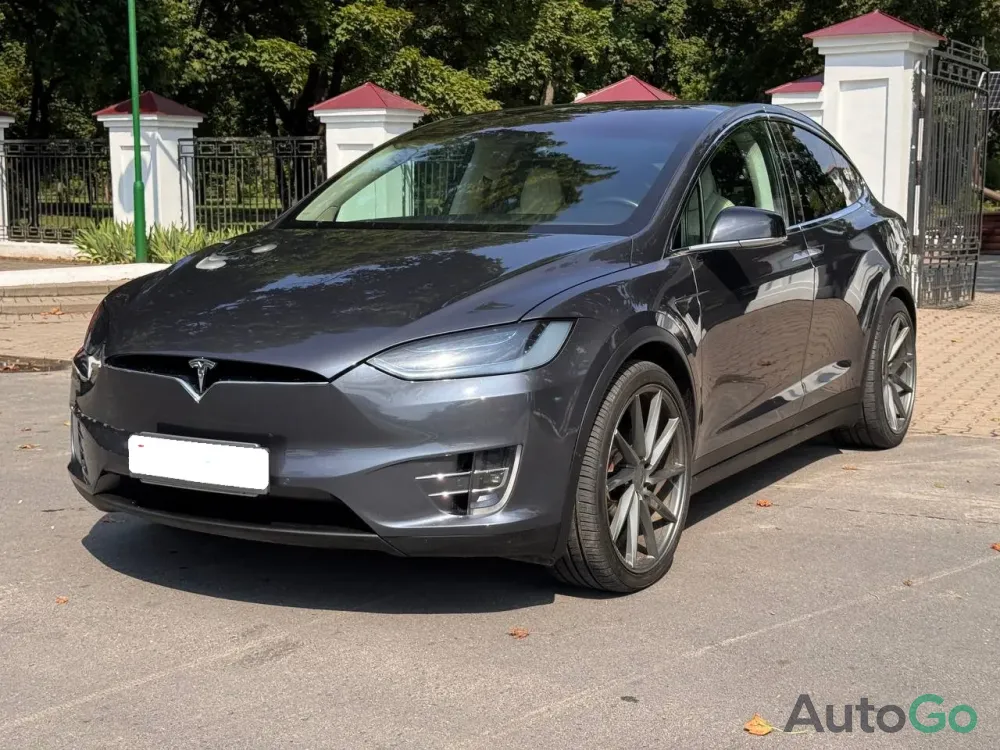  Model X (I)