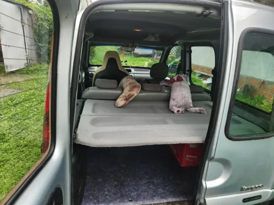 Продажа Renault Kangoo (X76) Рестайлинг, 2008 г., Гомель Гомель