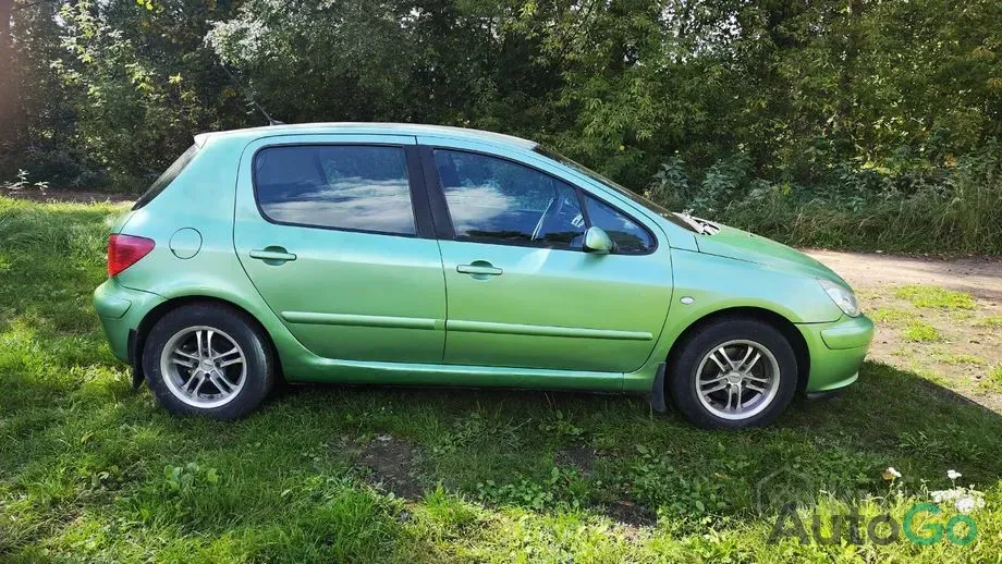 Продажа Peugeot 307 I, 2001 г., Барановичи Барановичи - изображение 1