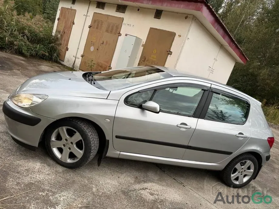 Продажа Peugeot 307 I Рестайлинг, 2004 г., Могилев Могилев - изображение 6