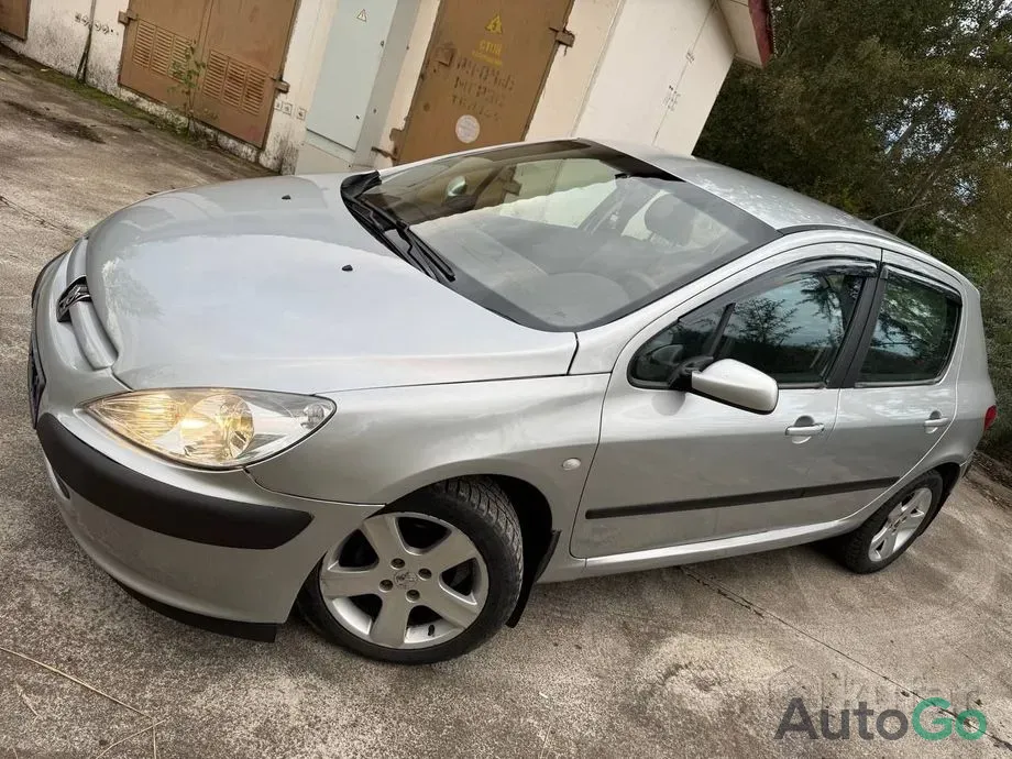 Продажа Peugeot 307 I Рестайлинг, 2004 г., Могилев Могилев - изображение 1