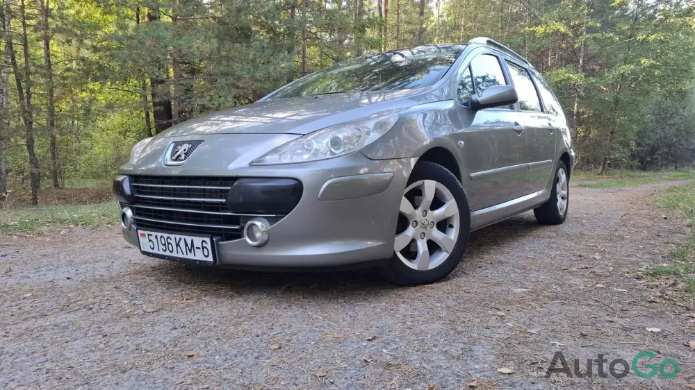 Продажа Peugeot 307 (I) Рестайлинг, 2007 г., Минск Минск - изображение 9