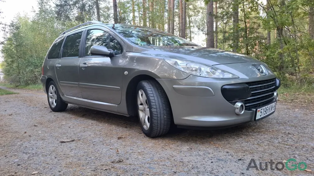 Продажа Peugeot 307 (I) Рестайлинг, 2007 г., Минск Минск - изображение 2