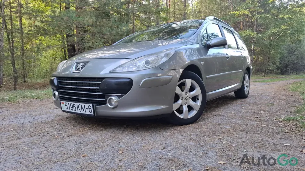 Продажа Peugeot 307 I Рестайлинг, 2007г., Осиповичи Осиповичи - изображение 1