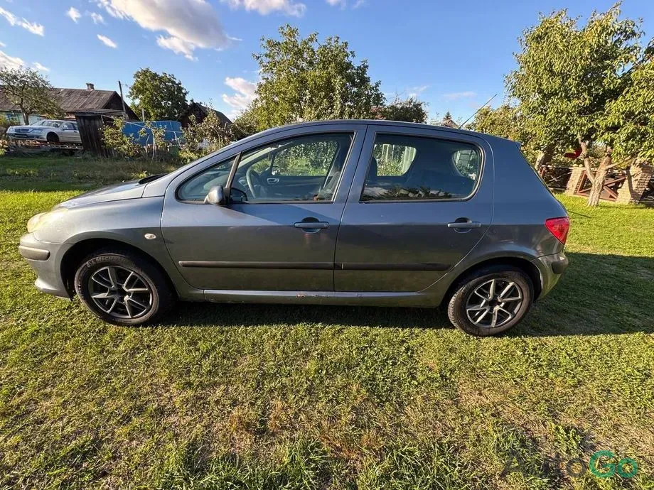 Продажа Peugeot 307 I Рестайлинг, 2007 г., Калинковичи Калинковичи - изображение 3