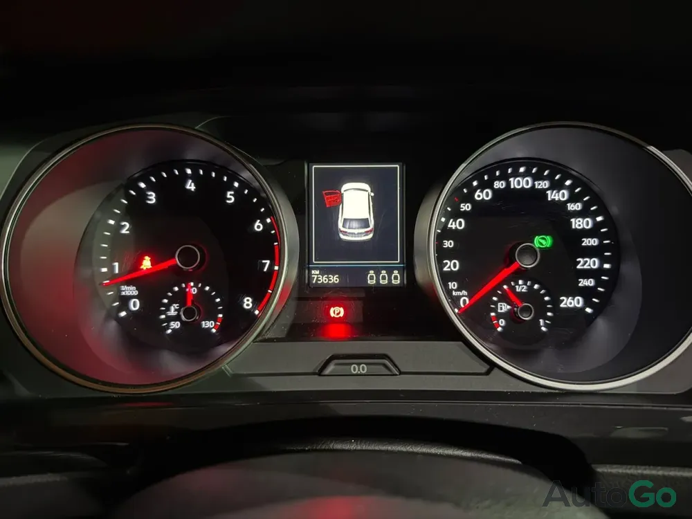  Tiguan (II)