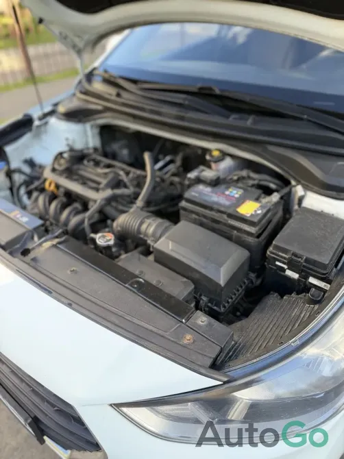  Accent V (HC)