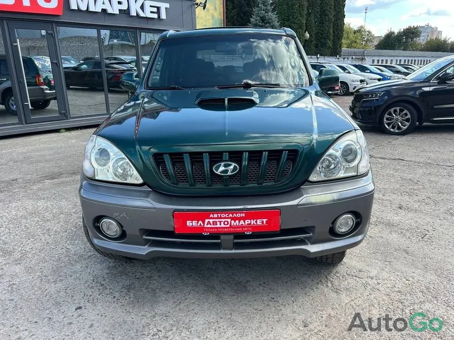 Продажа Hyundai Terracan I, 2003 г., Мозырь Мозырь - изображение 2