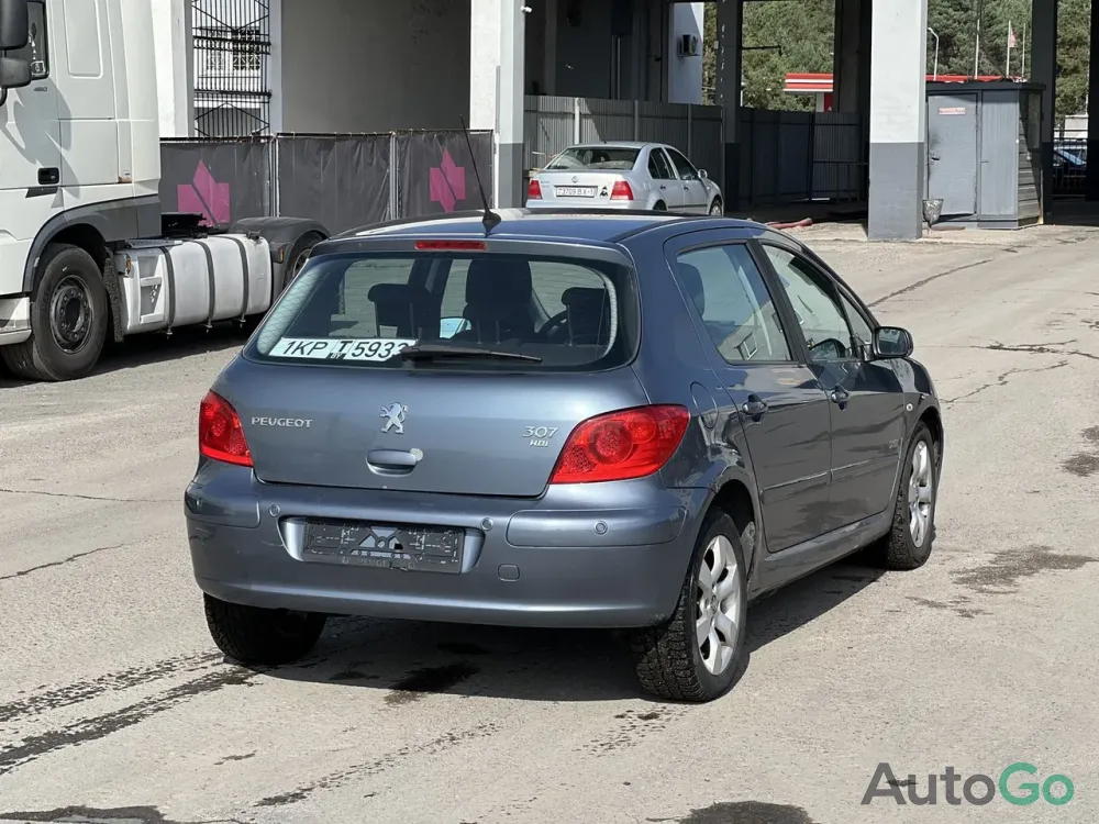 Продажа Peugeot 307 (I) Рестайлинг, 2007 г., Брест Брест - изображение 4