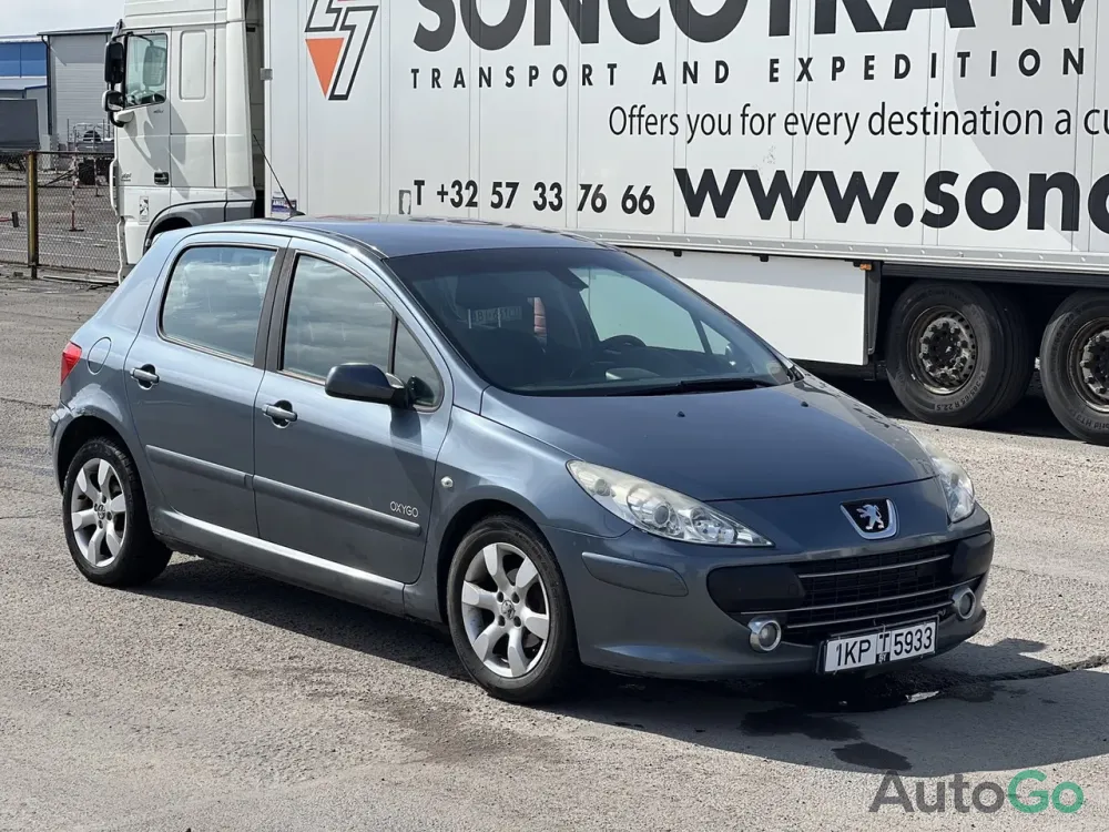 Продажа Peugeot 307 (I) Рестайлинг, 2007 г., Брест Брест - изображение 2