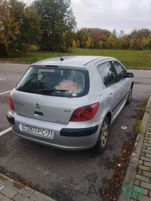 Продажа Peugeot 307 (I), 2003 г., Минск Минск - изображение 3