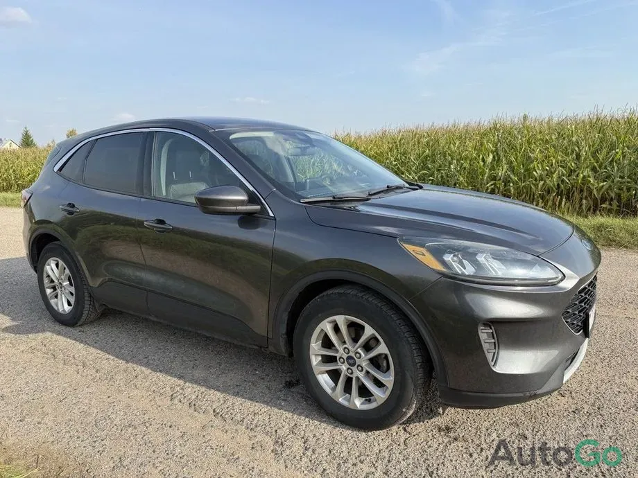 Продажа Ford Escape IV, 2020 г., Минск Минск - изображение 2