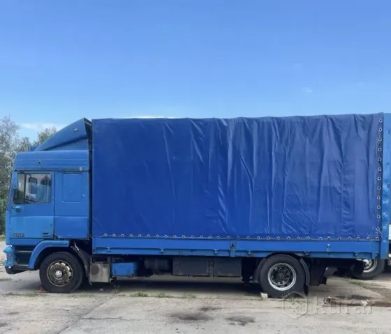 Продажа DAF 95, 1988 г., Орша Орша