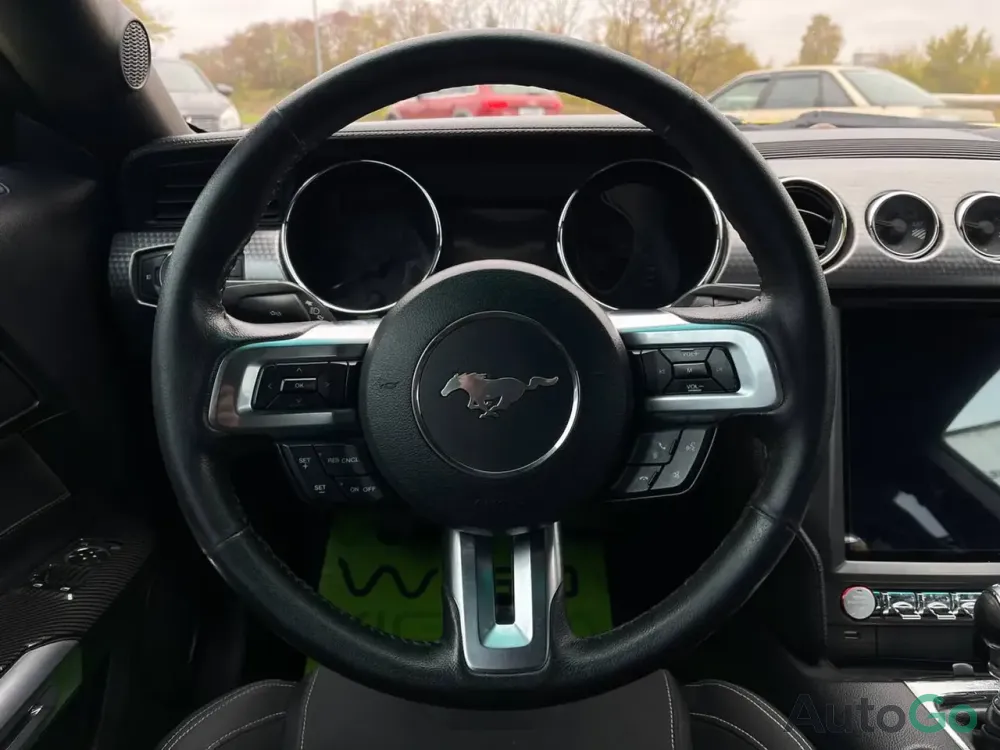 Продажа Ford Mustang VI, 2015г., Могилёв Могилев - изображение 9