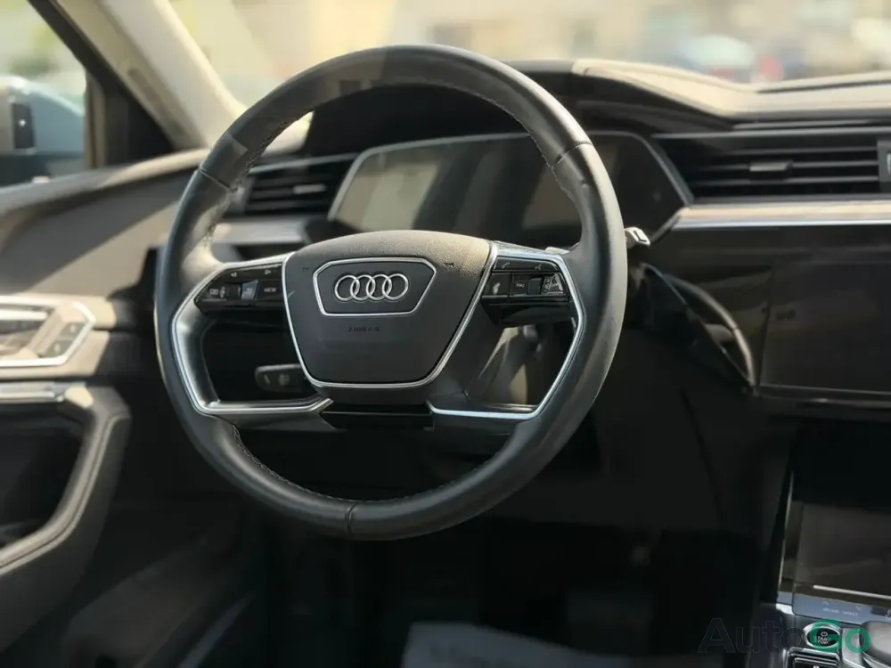 Продажа Audi Q8 e-tron I, 2024г., Минск Минск - изображение 12