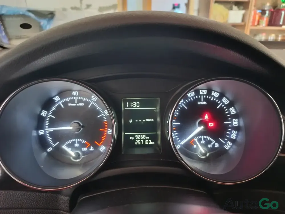 Продажа Skoda Superb II, 2010г., Брест Брест - изображение 11