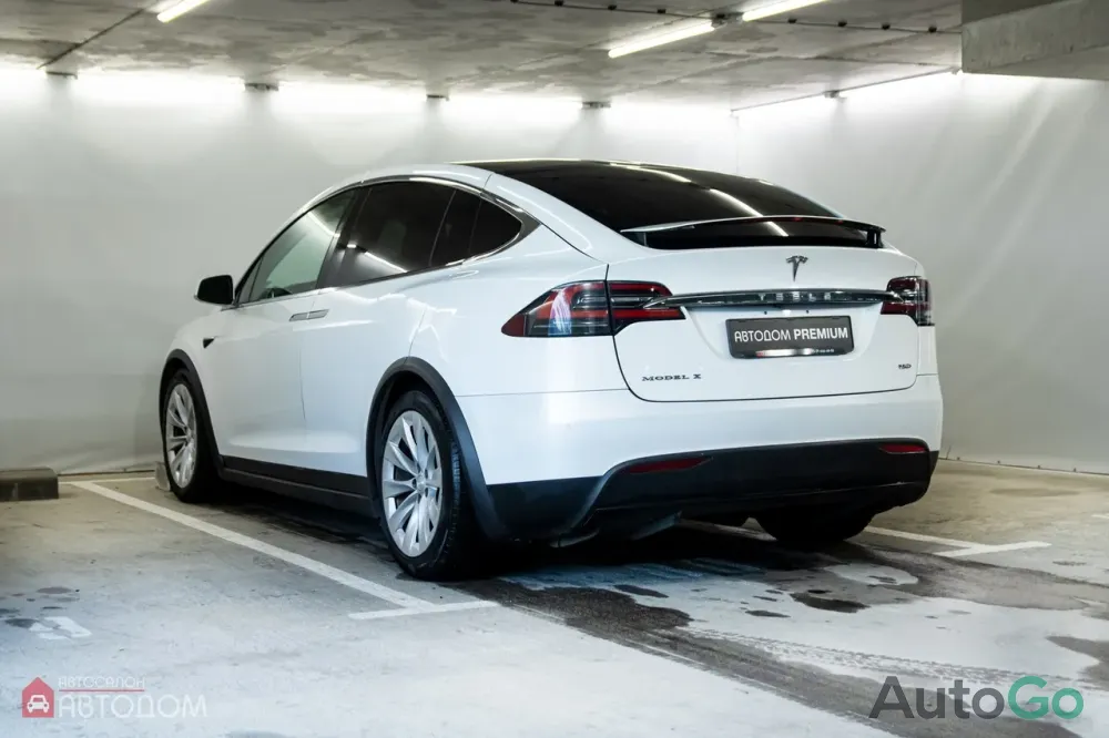  Model X (I)