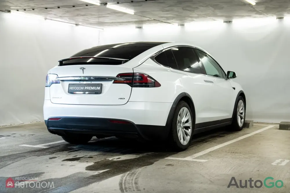  Model X (I)