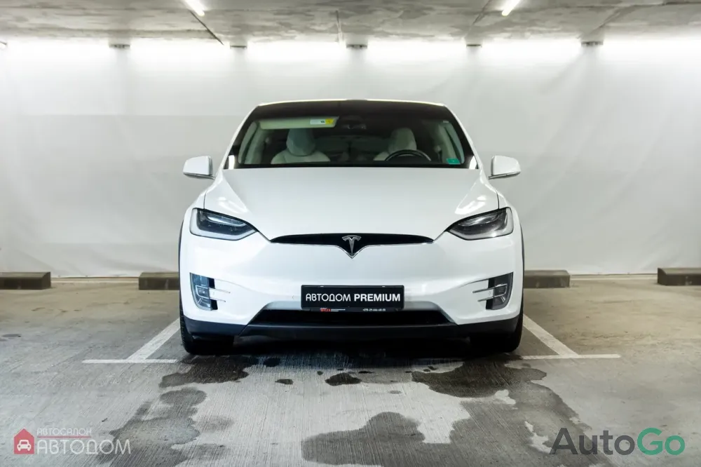  Model X (I)