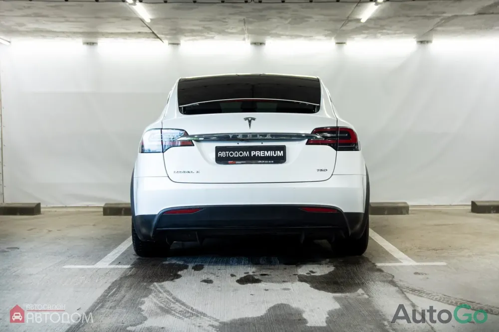  Model X (I)