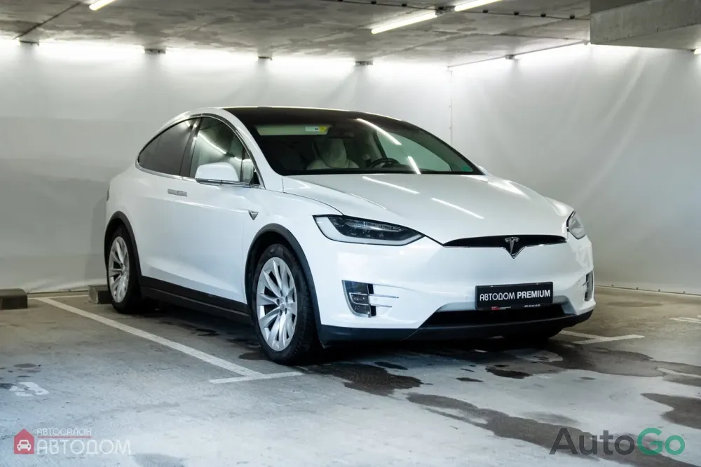  Model X (I)