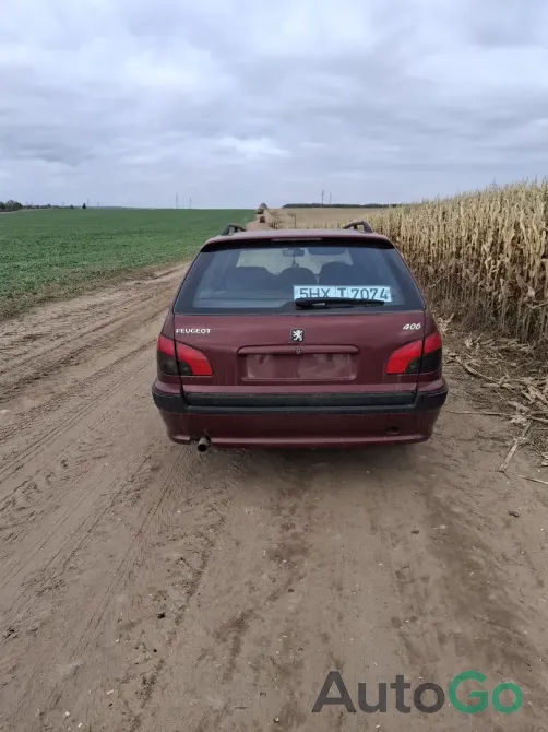 Продажа Peugeot 406 I Рестайлинг, 2001г., Столбцы Столбцы - изображение 4
