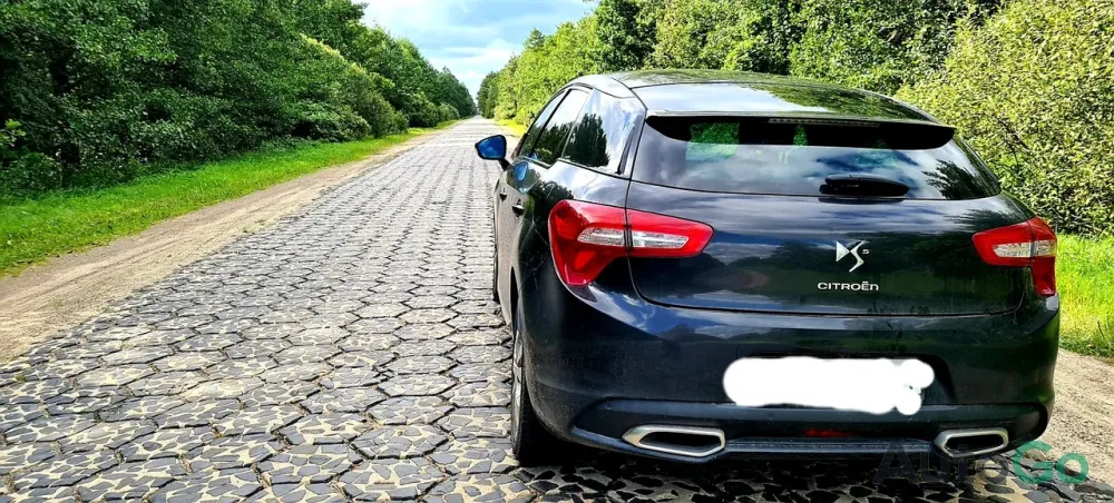  DS5