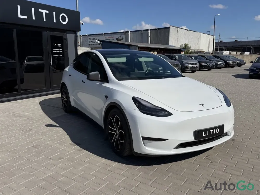  Model Y (I)