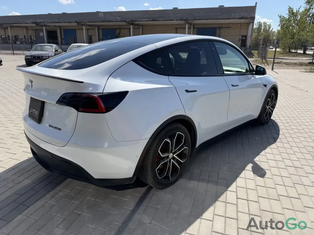  Model Y (I)