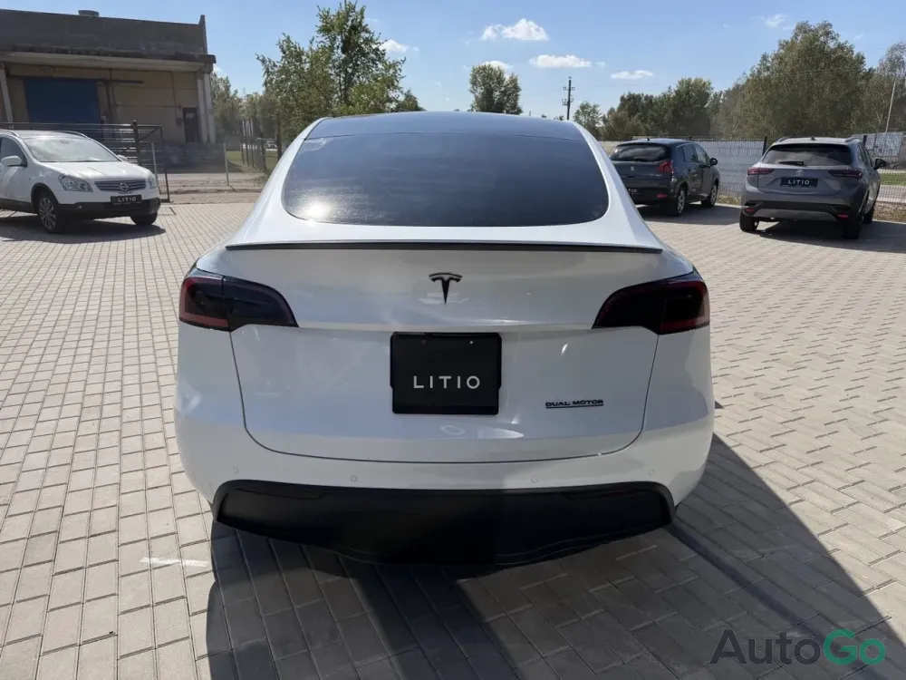 Model Y (I)