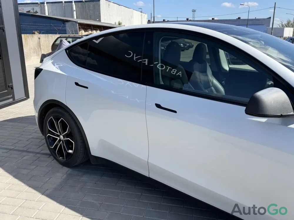  Model Y (I)