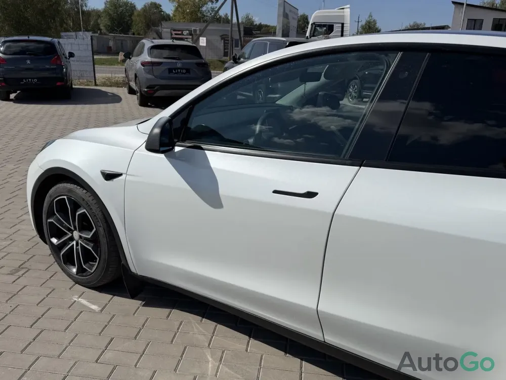  Model Y (I)