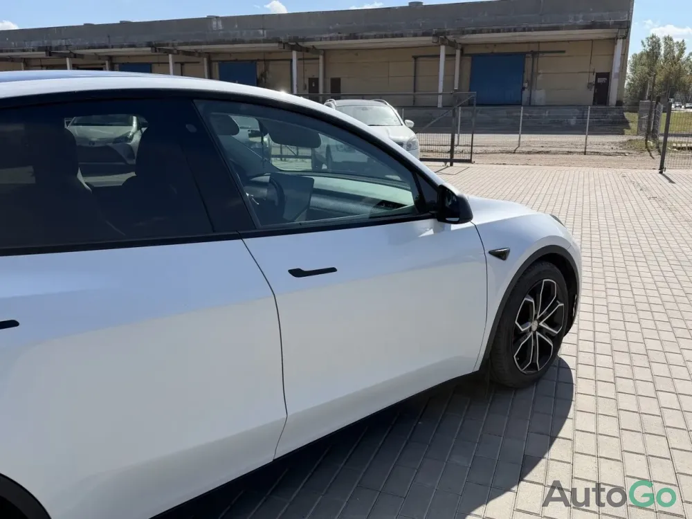  Model Y (I)