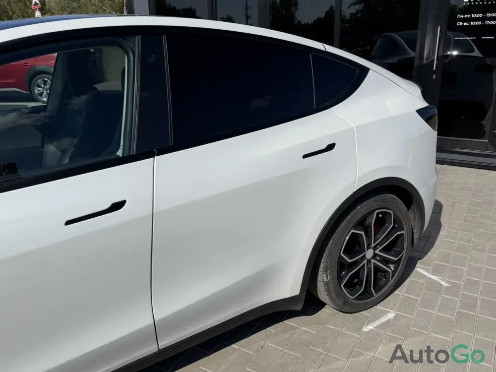  Model Y (I)