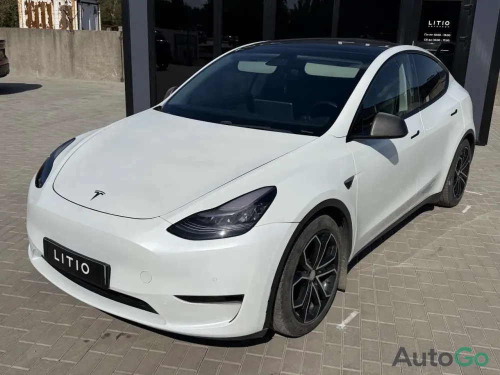  Model Y (I)