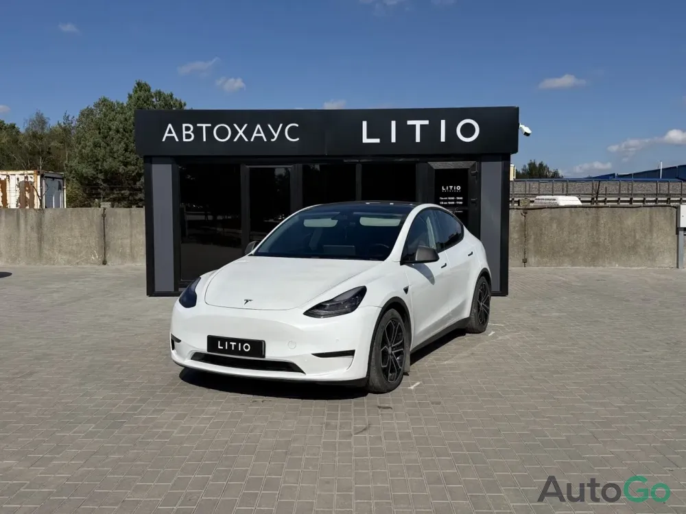  Model Y (I)