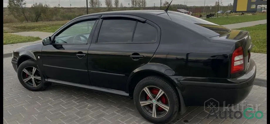 Продажа Skoda Octavia I (A4) Рестайлинг, 2007 г., Могилев Могилев - изображение 4