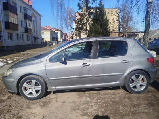 Продажа Peugeot 307 I, 2002 г., Рогачев Рогачев