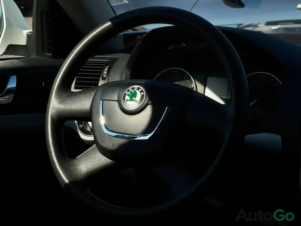 Продажа Skoda Octavia II (A5) Рестайлинг, 2013г., Брест Брест - изображение 11