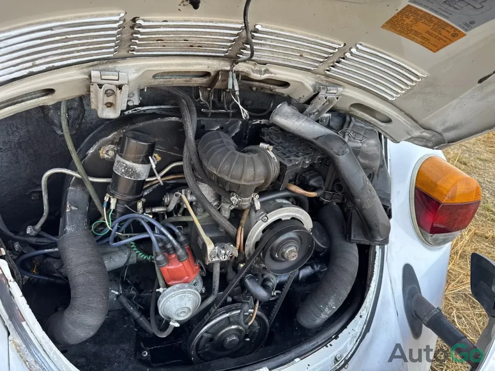  Beetle (Type 1)