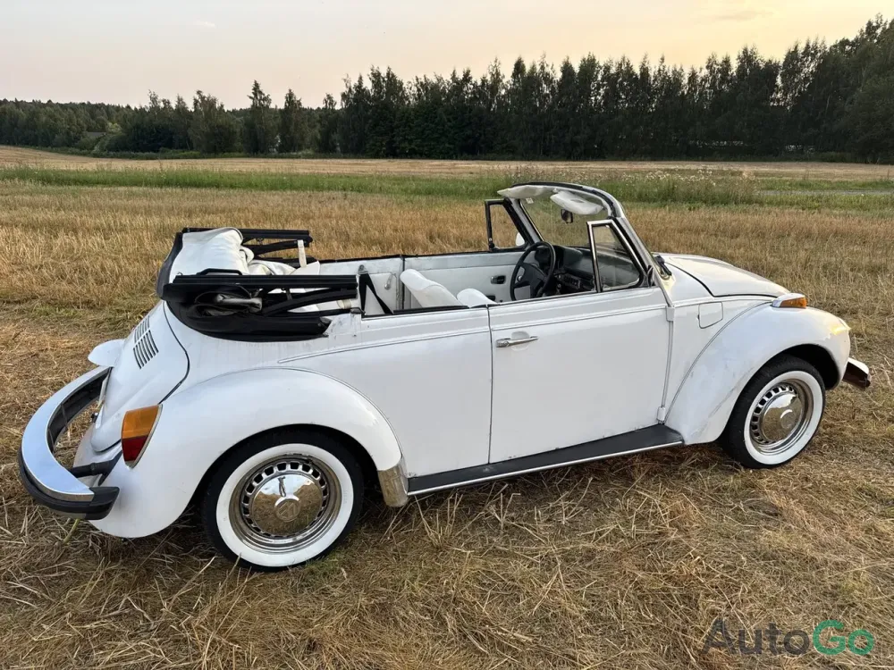  Beetle (Type 1)