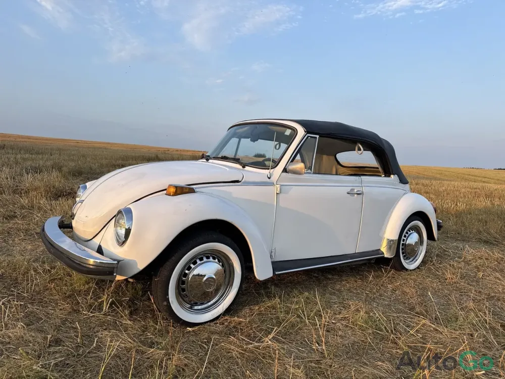  Beetle (Type 1)