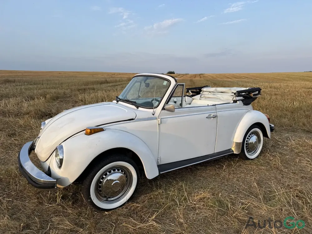  Beetle (Type 1)